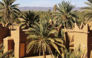 El desierto del sahara