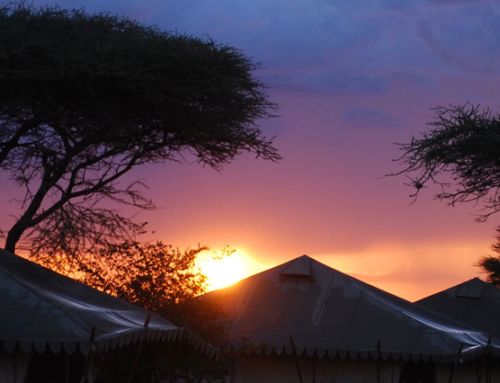 Tanzania, la belleza salvaje