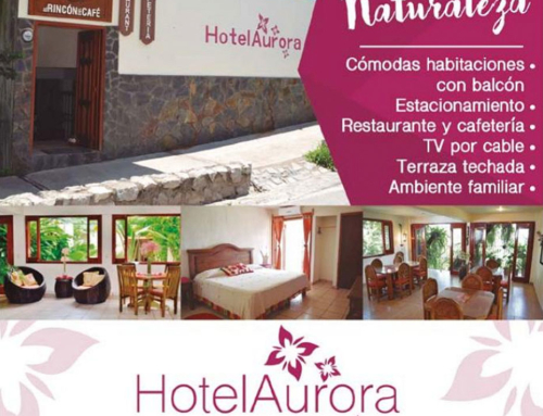 Hotel Aurora Xilitla, San Luis Potosí
