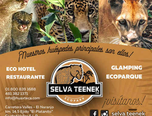 Selva Teenek Ecopark Huasteca Potosina SLP
