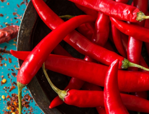 El chile y su historia | GASTRONOMÍA